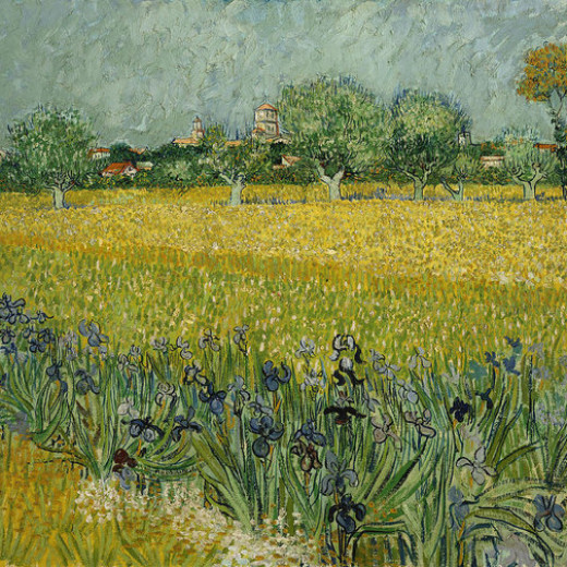 2-field-with-flowers-near-arles-vincent-van-gogh