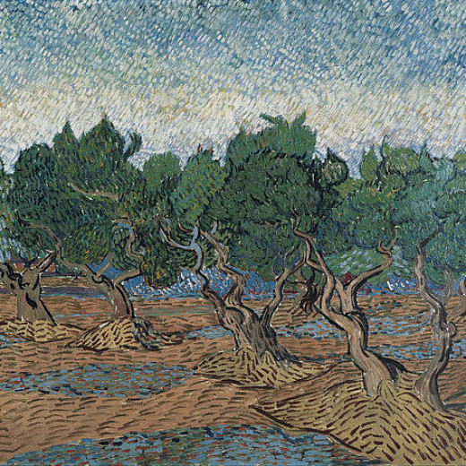 2-olive-grove-vincent-van-gogh