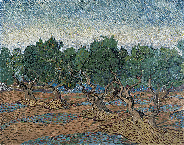 2-olive-grove-vincent-van-gogh