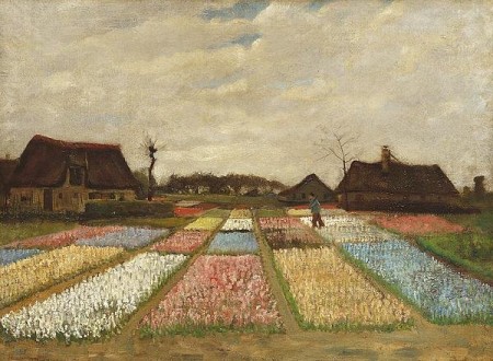 Flower Beds In Holland Print