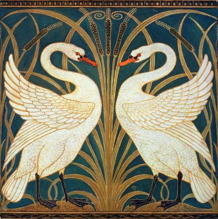 Swan Rush And Iris