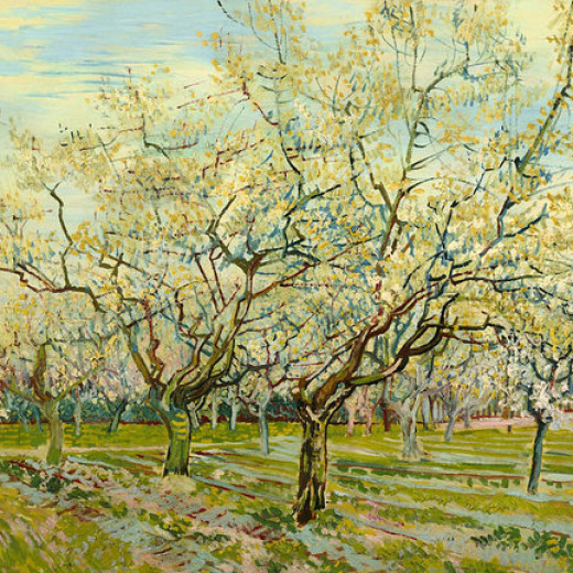 4-the-white-orchard-vincent-van-gogh